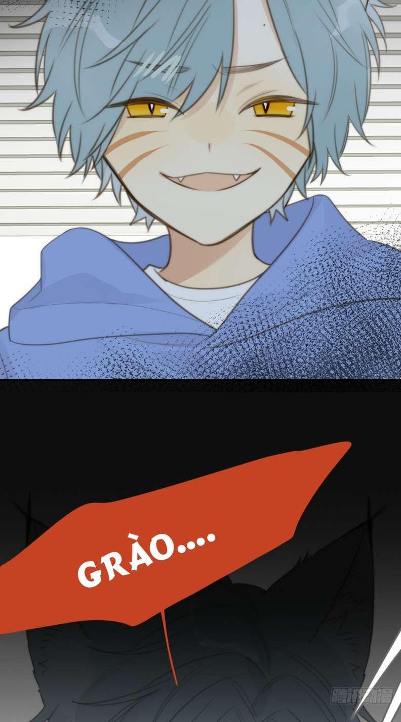 Chỉ Có Đuôi Là Không Thể Chapter 27 - Trang 2