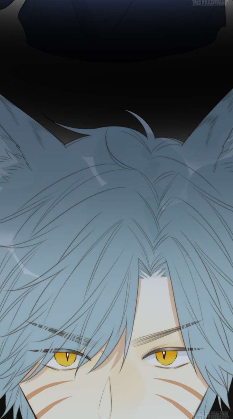 Chỉ Có Đuôi Là Không Thể Chapter 27 - Trang 2