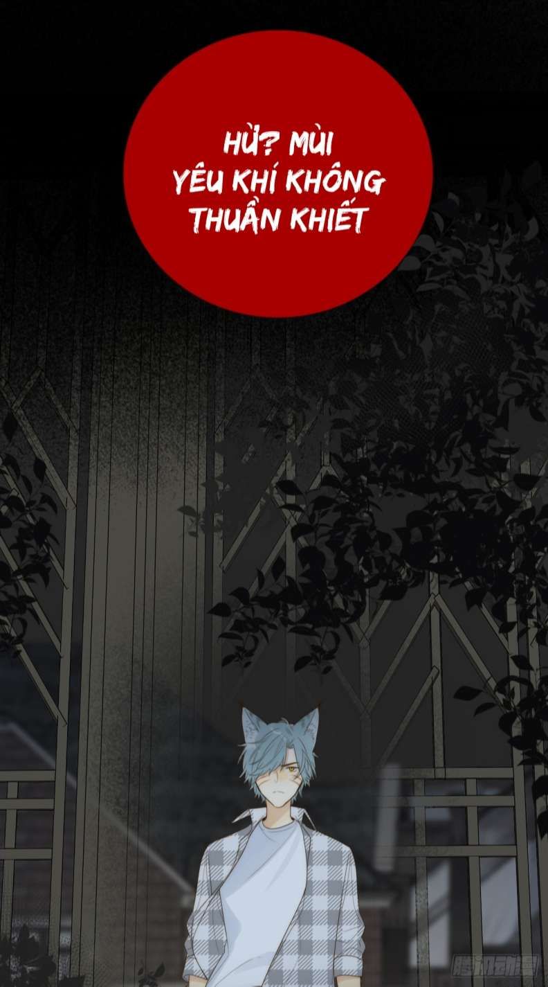 Chỉ Có Đuôi Là Không Thể Chapter 27 - Trang 2