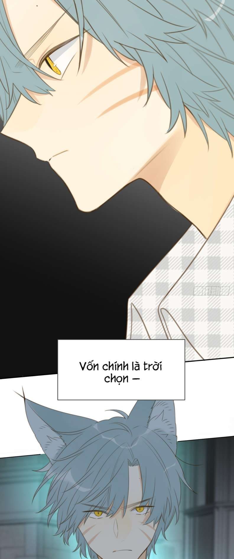 Chỉ Có Đuôi Là Không Thể Chapter 28 - Trang 2