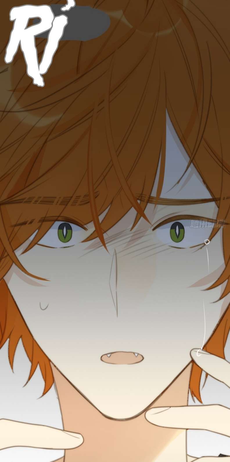 Chỉ Có Đuôi Là Không Thể Chapter 29 - Trang 2