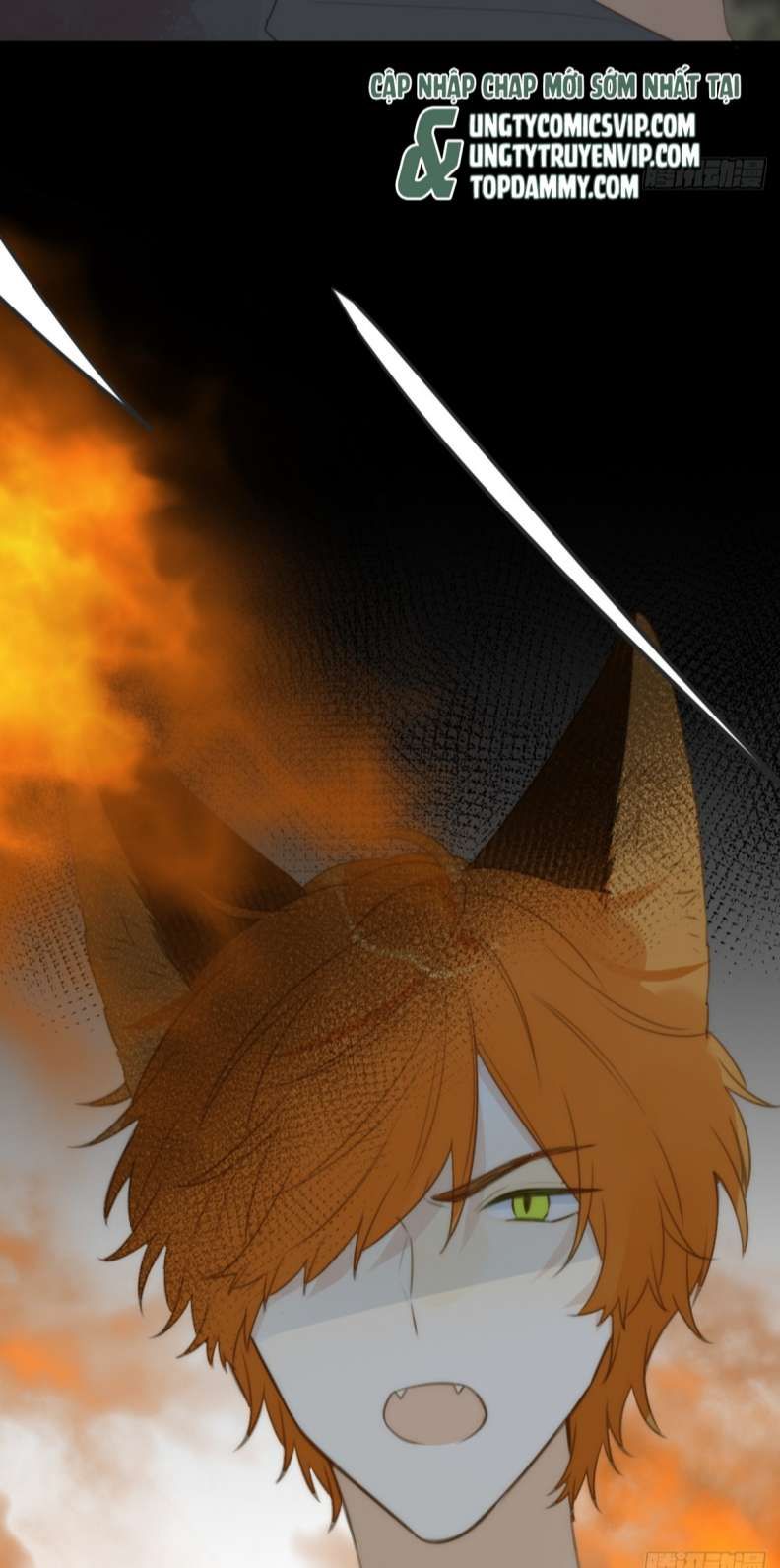 Chỉ Có Đuôi Là Không Thể Chapter 29 - Trang 2