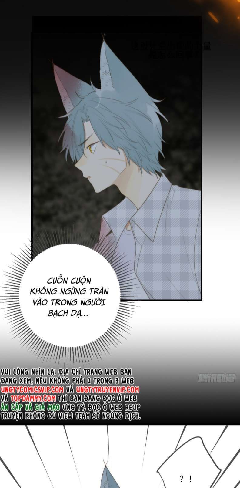 Chỉ Có Đuôi Là Không Thể Chapter 29 - Trang 2