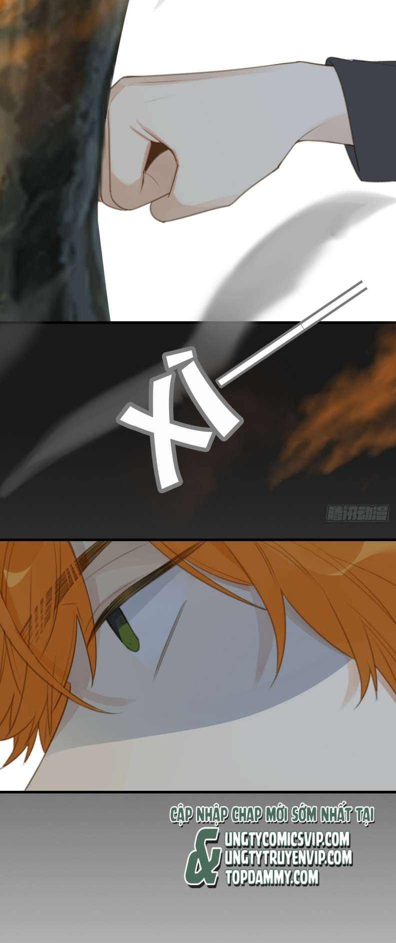 Chỉ Có Đuôi Là Không Thể Chapter 29 - Trang 2