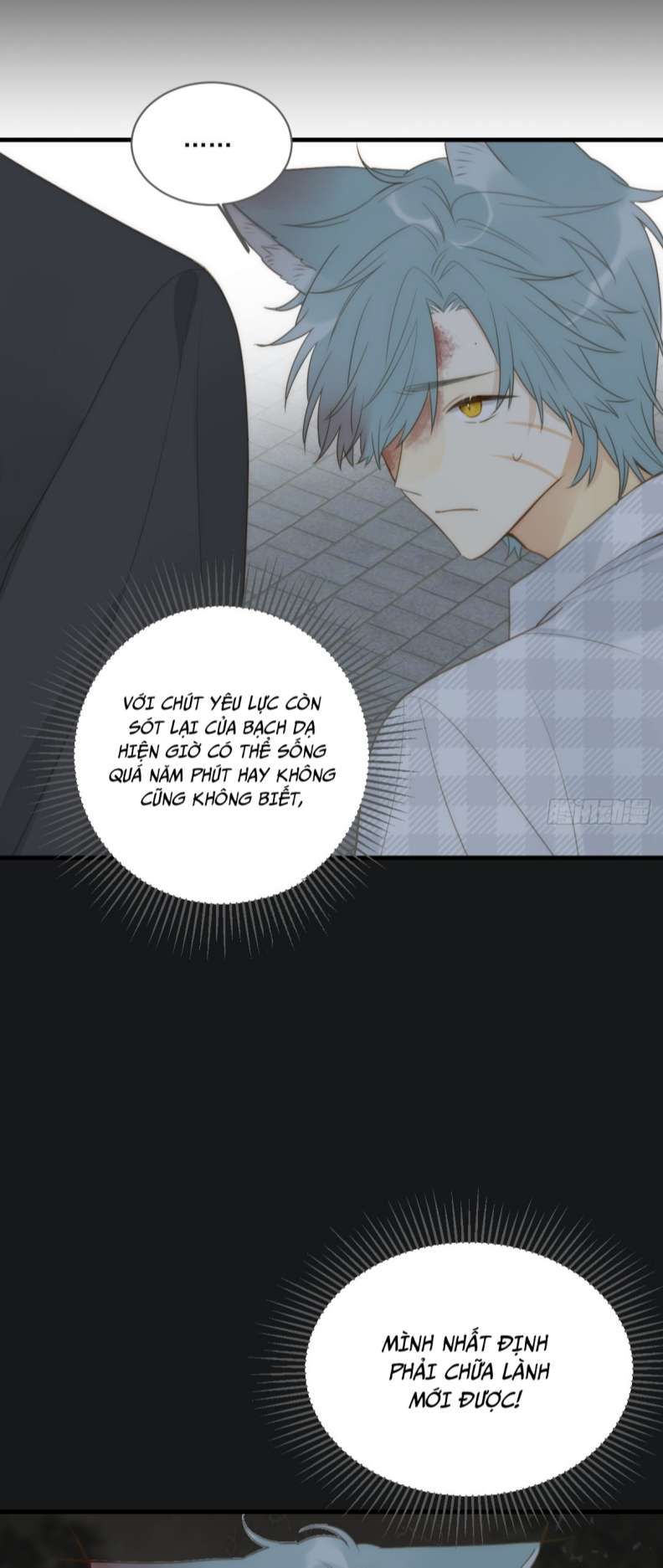 Chỉ Có Đuôi Là Không Thể Chapter 29 - Trang 2