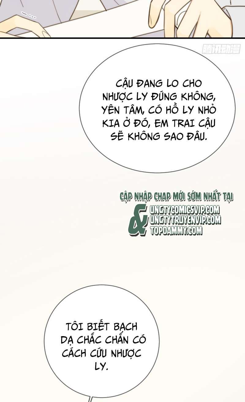 Chỉ Có Đuôi Là Không Thể Chapter 31 - Trang 2