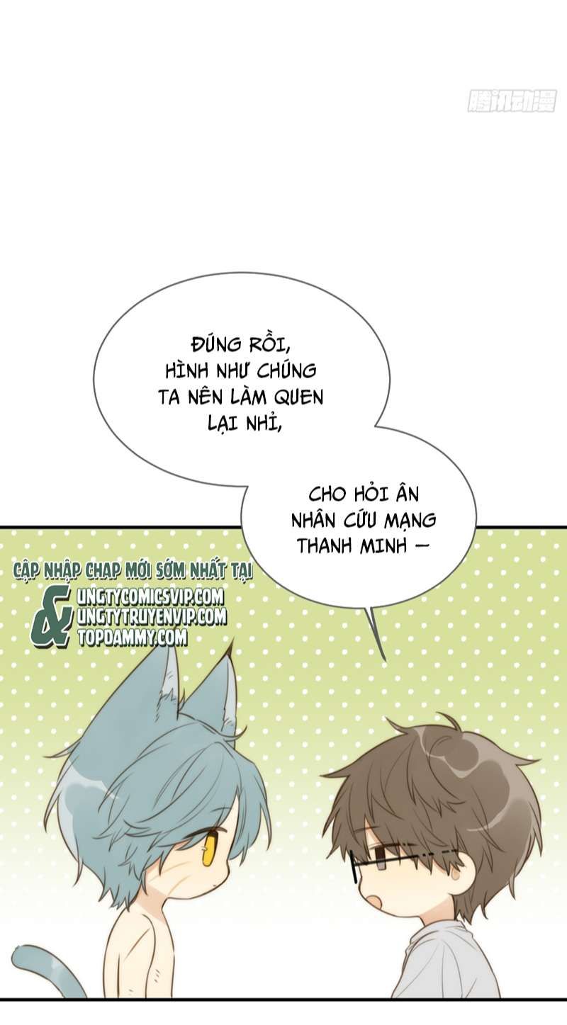 Chỉ Có Đuôi Là Không Thể Chapter 31 - Trang 2