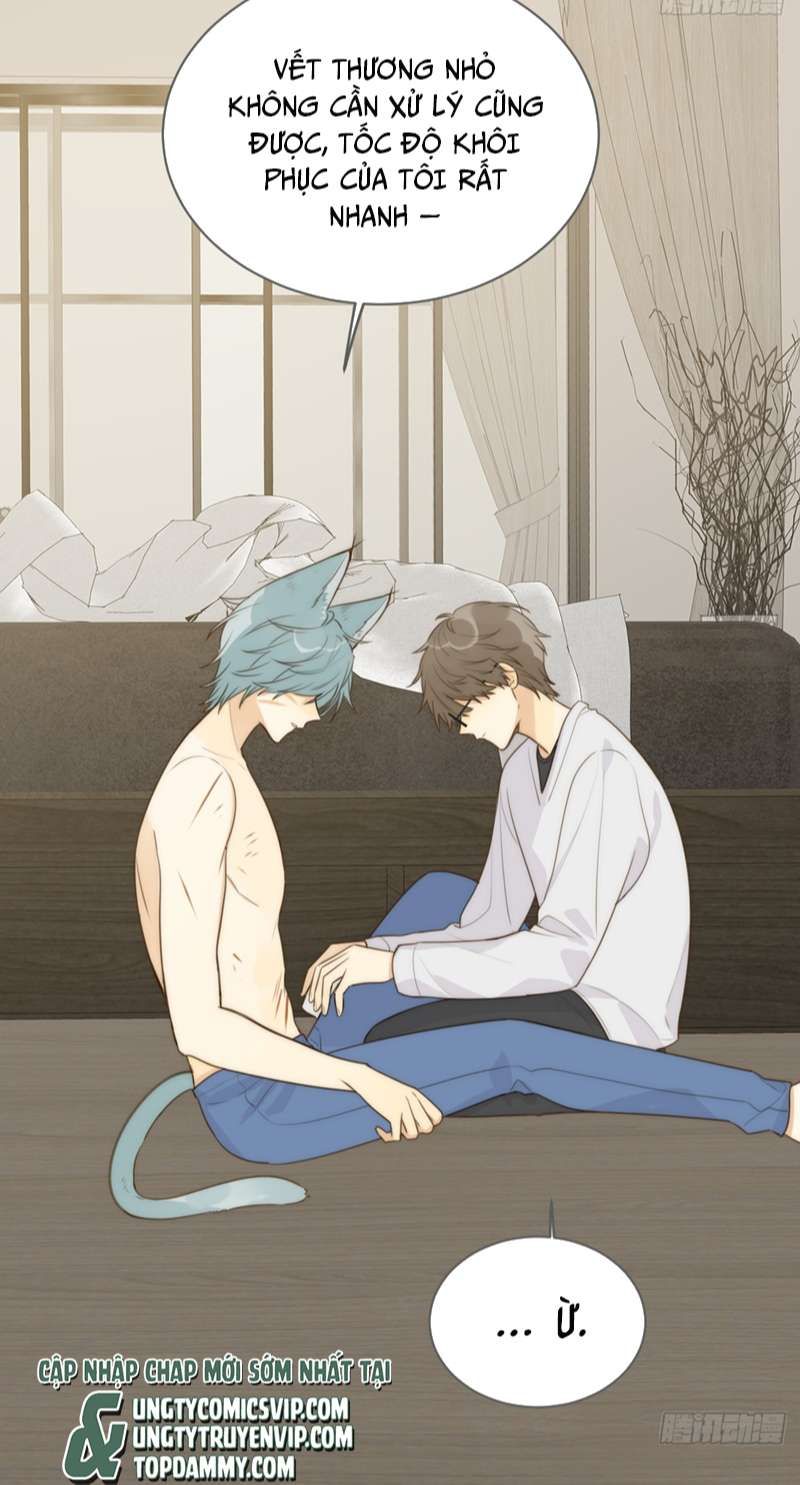 Chỉ Có Đuôi Là Không Thể Chapter 31 - Trang 2