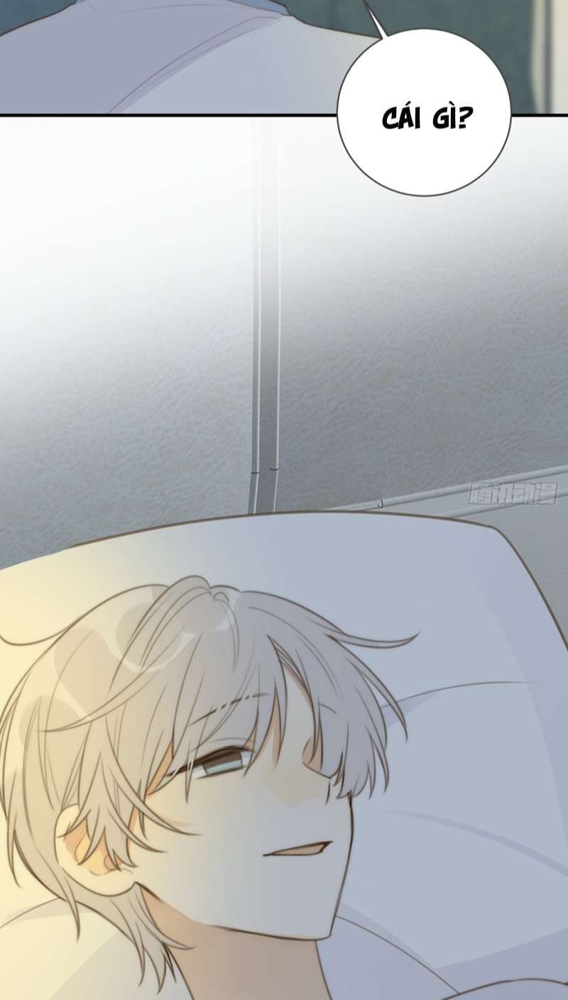 Chỉ Có Đuôi Là Không Thể Chapter 31 - Trang 2