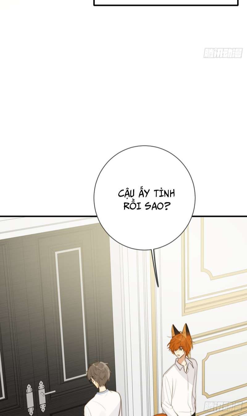 Chỉ Có Đuôi Là Không Thể Chapter 31 - Trang 2