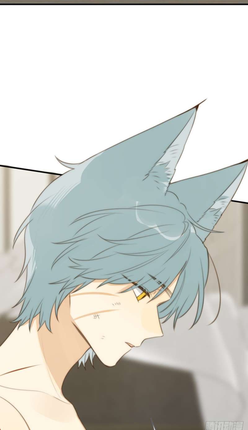 Chỉ Có Đuôi Là Không Thể Chapter 31 - Trang 2