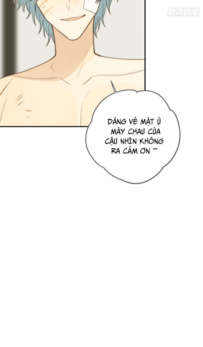 Chỉ Có Đuôi Là Không Thể Chapter 31 - Trang 2