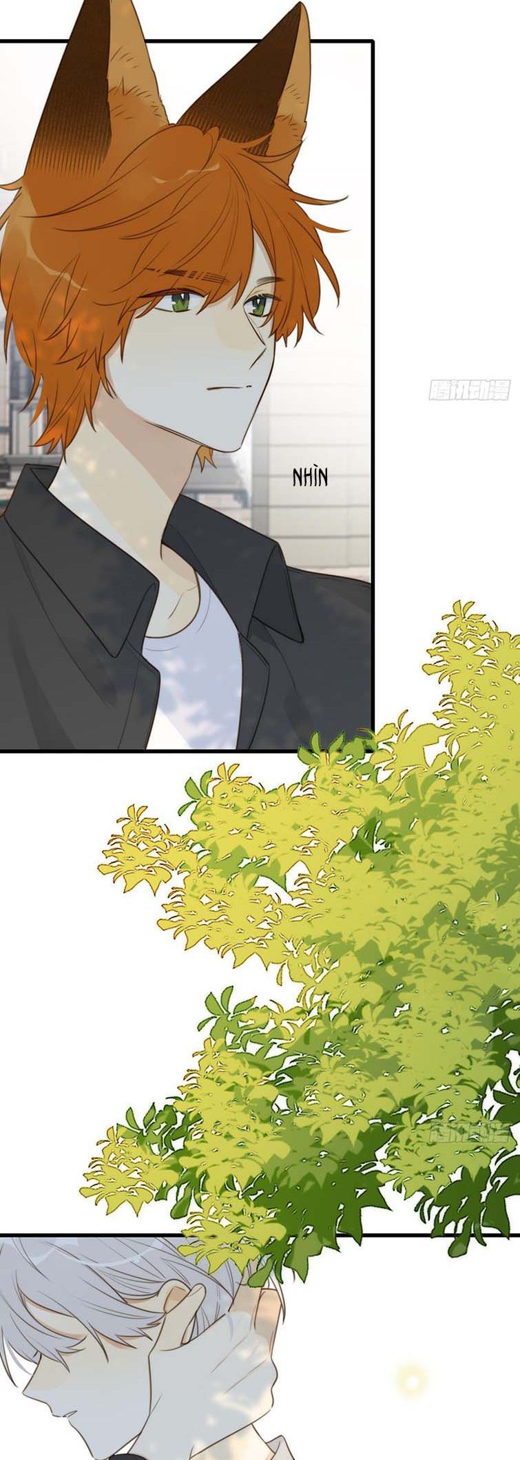 Chỉ Có Đuôi Là Không Thể Chapter 32 - Trang 2