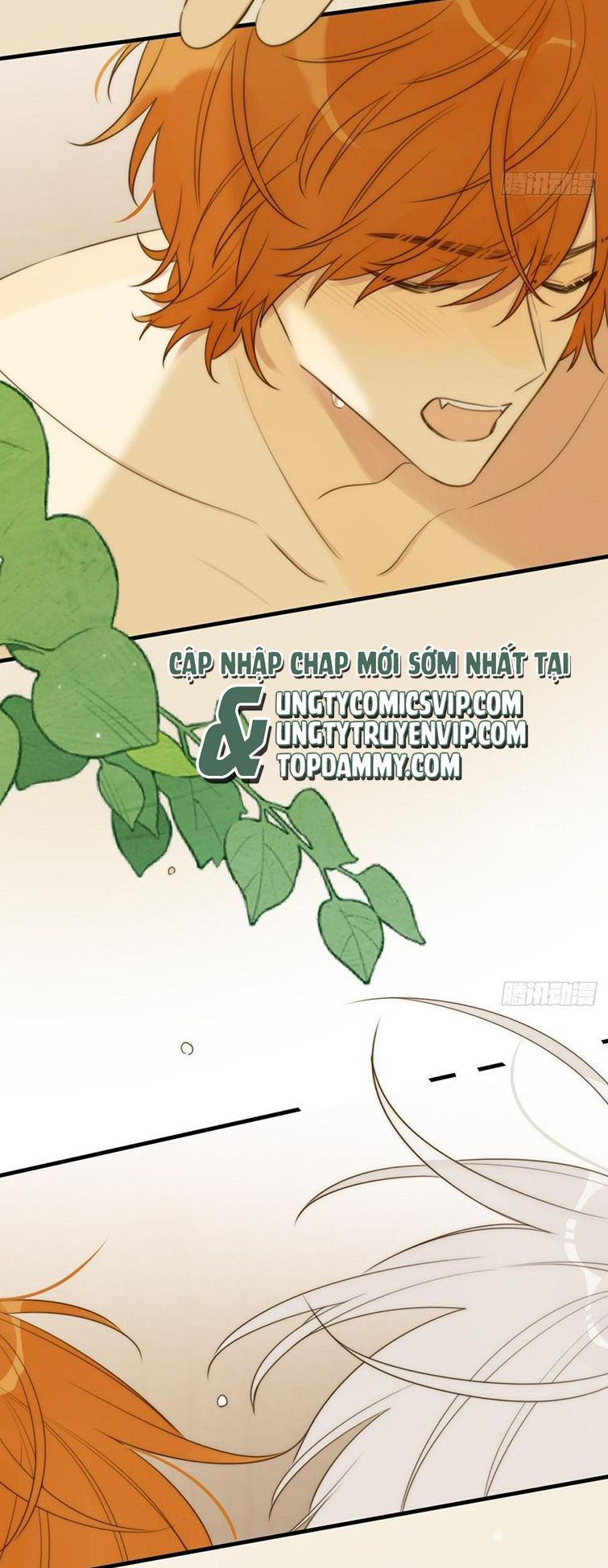 Chỉ Có Đuôi Là Không Thể Chapter 33 - Trang 2