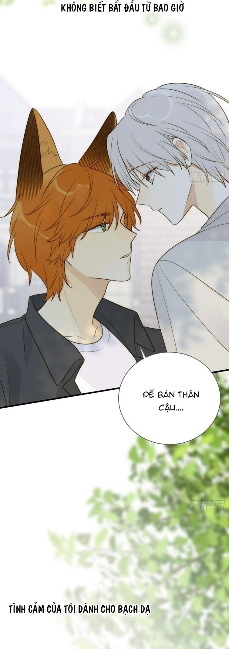 Chỉ Có Đuôi Là Không Thể Chapter 33 - Trang 2