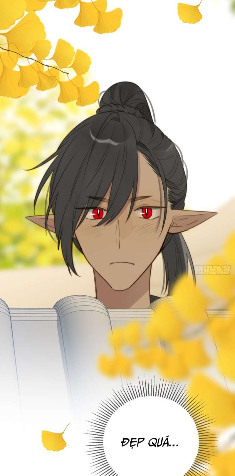 Chỉ Có Đuôi Là Không Thể Chapter 36 - Trang 2