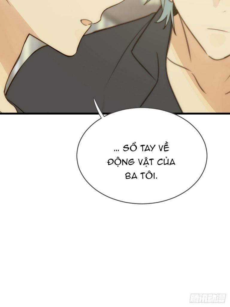 Chỉ Có Đuôi Là Không Thể Chapter 40 - Trang 2