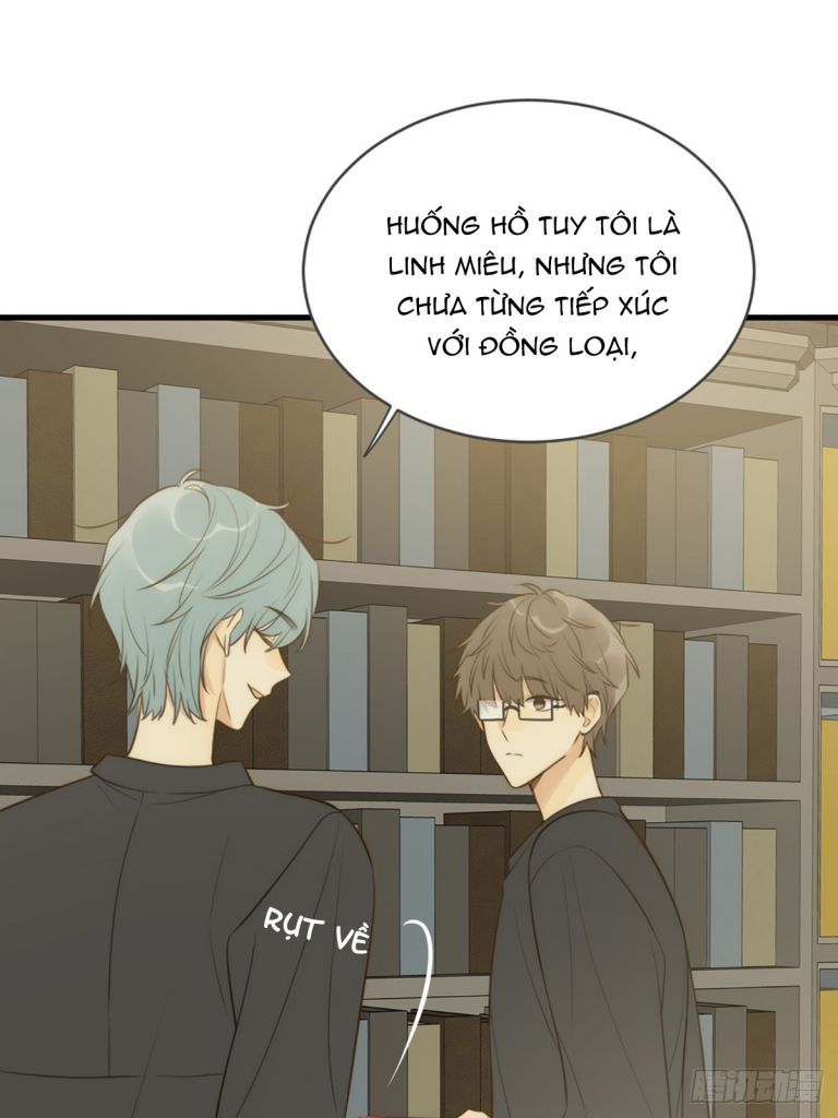 Chỉ Có Đuôi Là Không Thể Chapter 40 - Trang 2