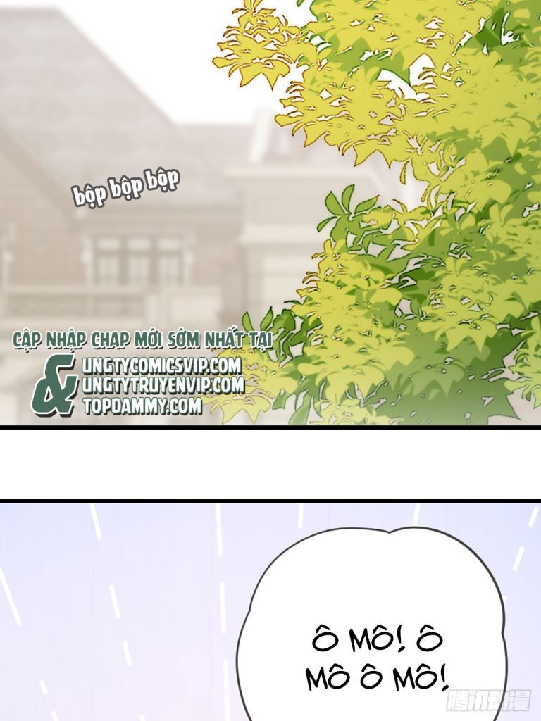 Chỉ Có Đuôi Là Không Thể Chapter 40 - Trang 2