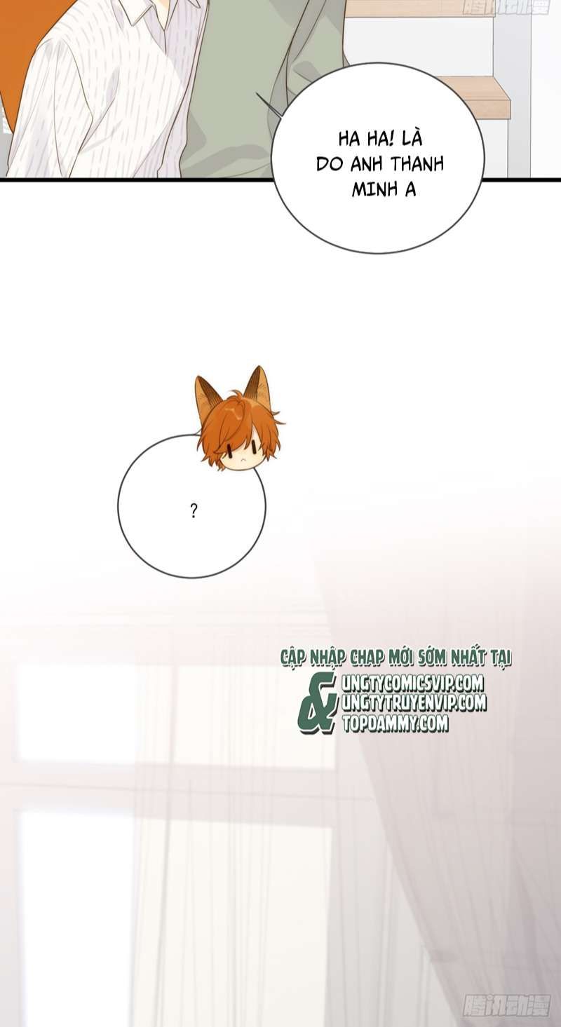 Chỉ Có Đuôi Là Không Thể Chapter 41 - Trang 2
