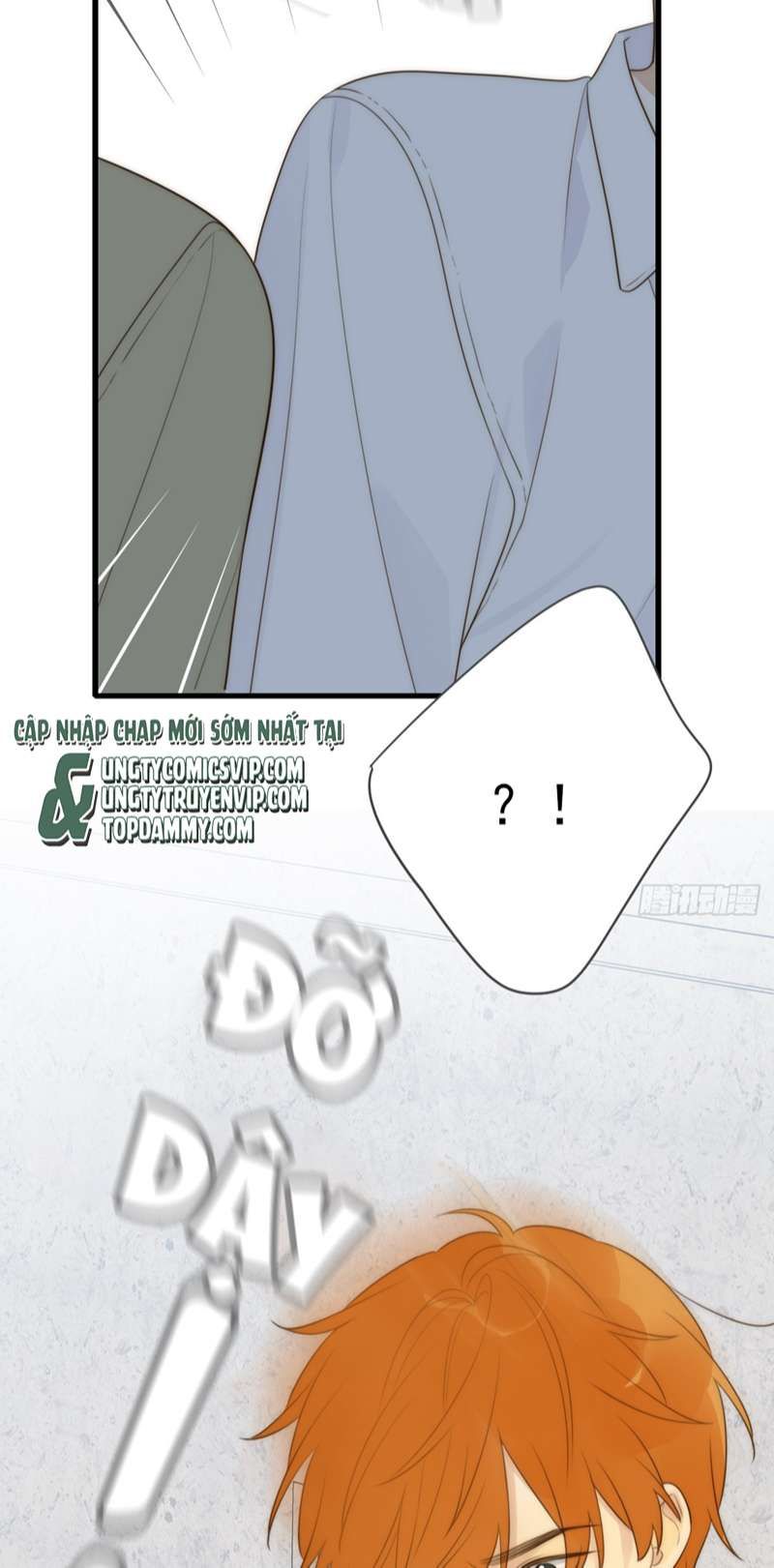 Chỉ Có Đuôi Là Không Thể Chapter 41 - Trang 2