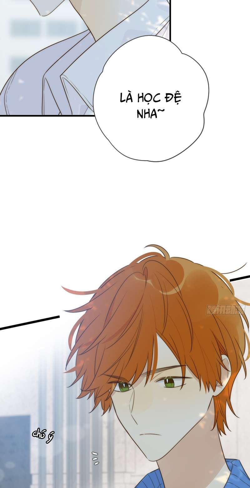 Chỉ Có Đuôi Là Không Thể Chapter 41 - Trang 2