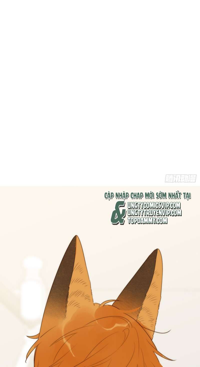 Chỉ Có Đuôi Là Không Thể Chapter 41 - Trang 2