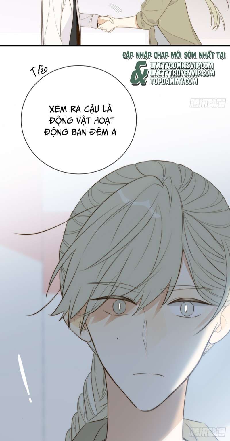 Chỉ Có Đuôi Là Không Thể Chapter 42 - Trang 2