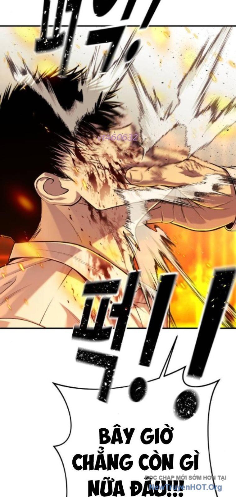 Đứa Con Báo Thù Chapter 71 - Trang 2