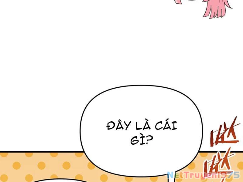 Phụng Chỉ Xuất Quỹ Chapter 21 - Trang 2