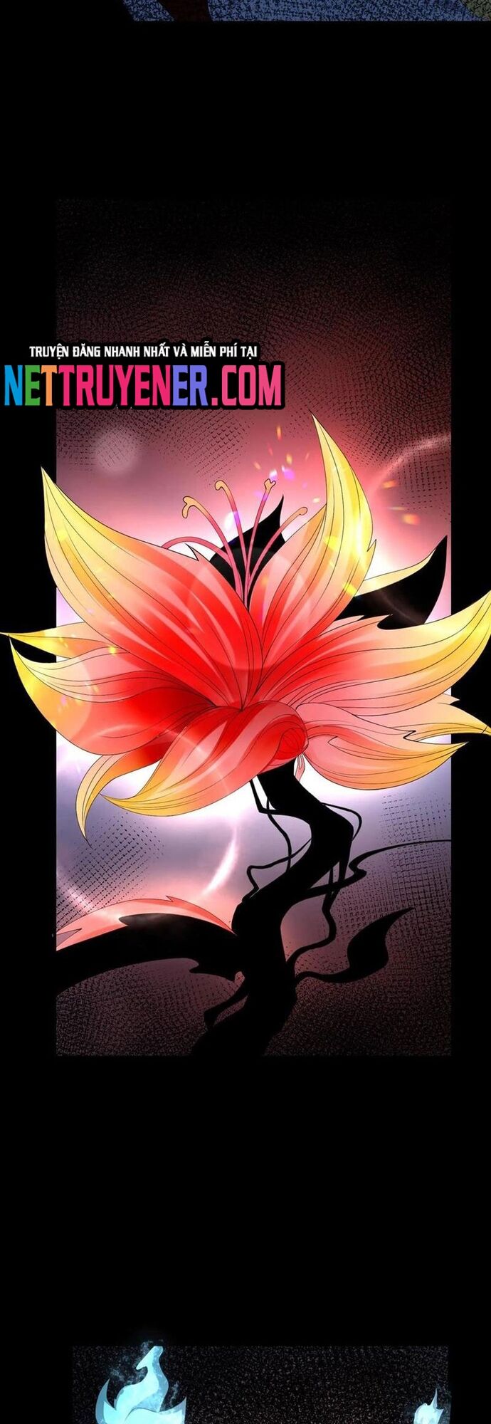 Ngày Tôi Sinh Ra, Bách Quỷ Dạ Hành, Tuyết Thi Hộ Đạo Chapter 707 - Trang 2