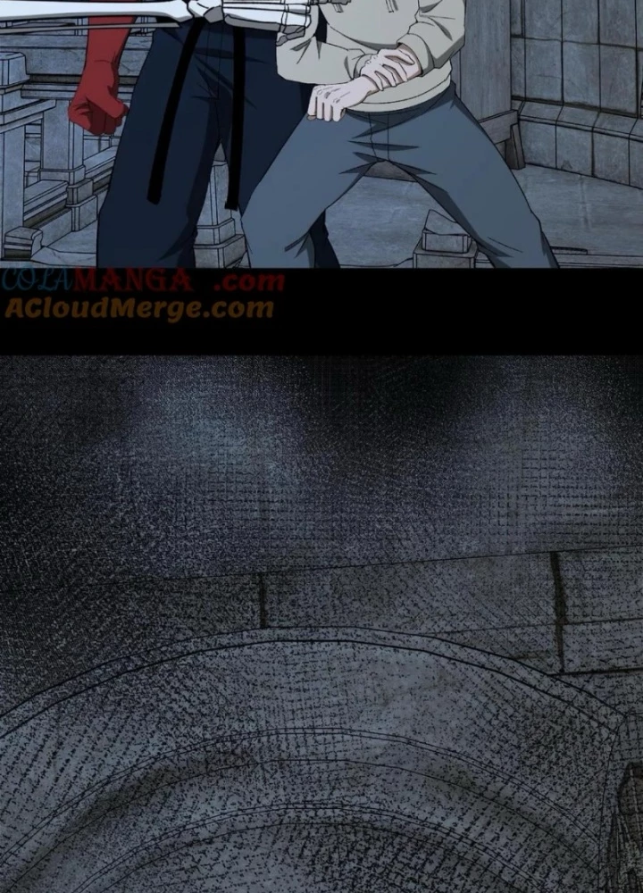 Ngày Tôi Sinh Ra, Bách Quỷ Dạ Hành, Tuyết Thi Hộ Đạo Chapter 736 - Trang 2