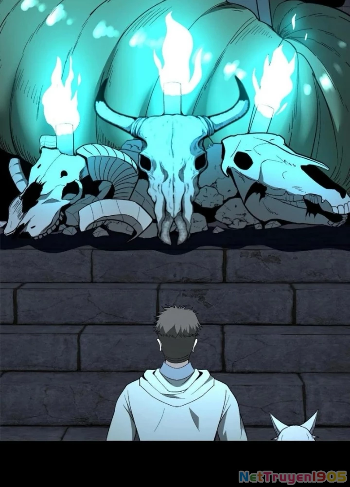 Ngày Tôi Sinh Ra, Bách Quỷ Dạ Hành, Tuyết Thi Hộ Đạo Chapter 736 - Trang 2