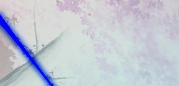 Ngày Tôi Sinh Ra, Bách Quỷ Dạ Hành, Tuyết Thi Hộ Đạo Chapter 770 - Trang 2