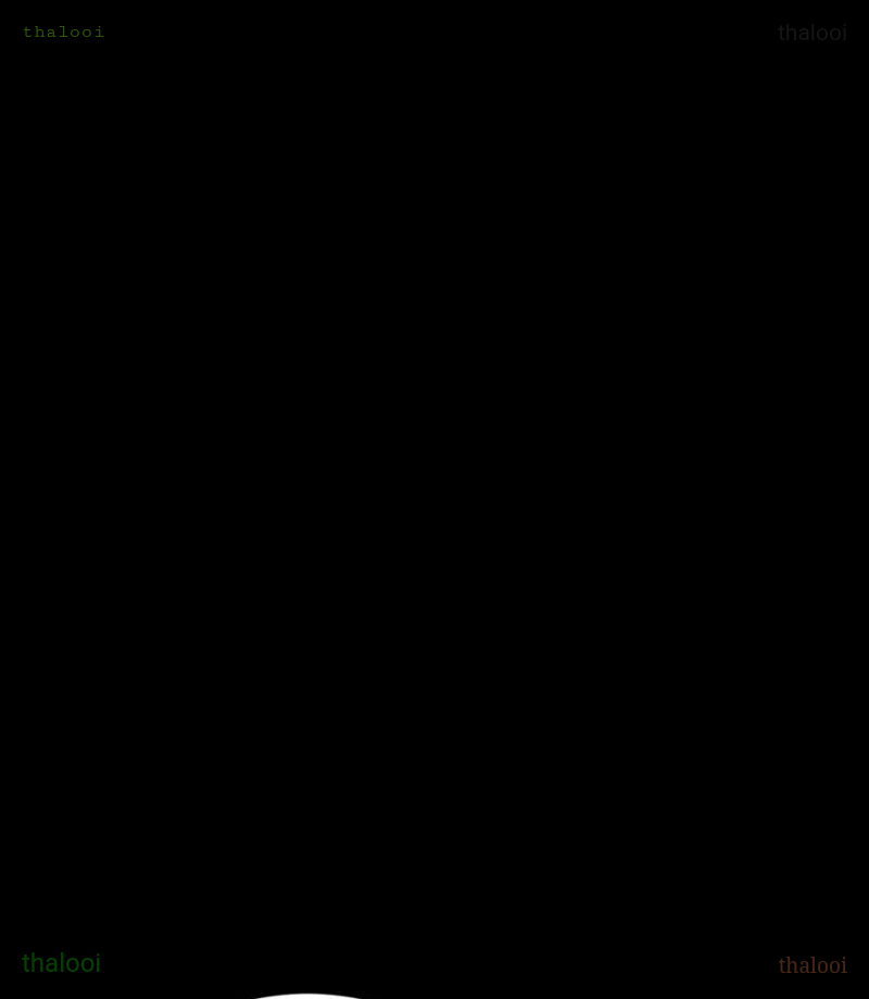 Ngày Tôi Sinh Ra, Bách Quỷ Dạ Hành, Tuyết Thi Hộ Đạo Chapter 777 - Trang 2