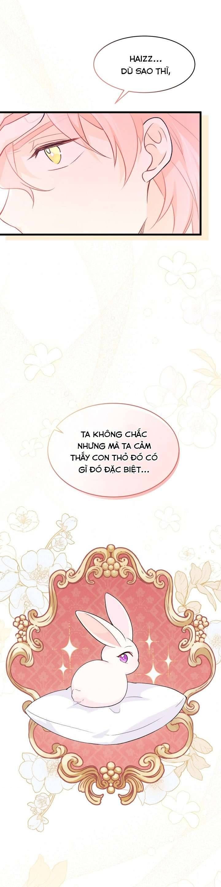 Mối Quan Hệ Cộng Sinh Giữa Báo Đen Và Thỏ Trắng Chapter 38 - Trang 2