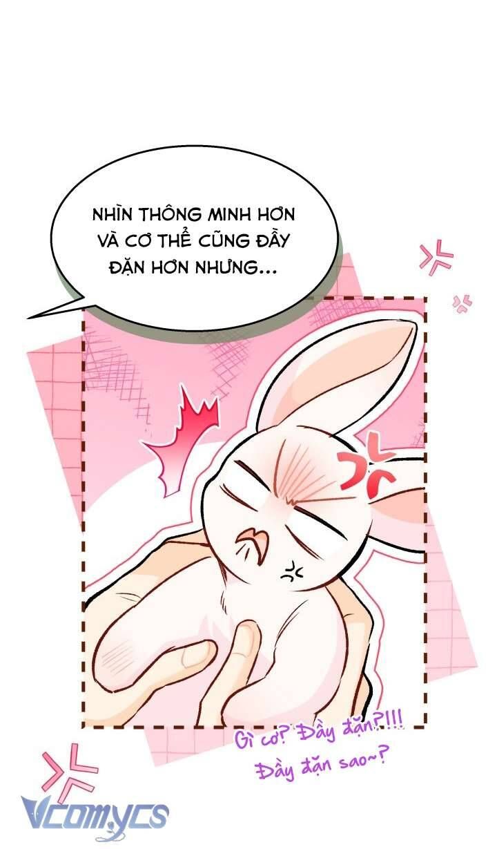 Mối Quan Hệ Cộng Sinh Giữa Báo Đen Và Thỏ Trắng Chapter 128 - Trang 2