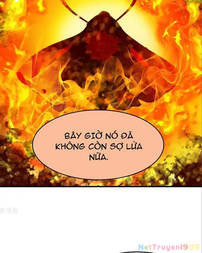 Phong Khởi Thương Lam Chapter 722 - Trang 2