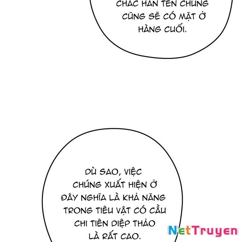 Thần Ma Y Đạo Chapter 15 - Trang 2
