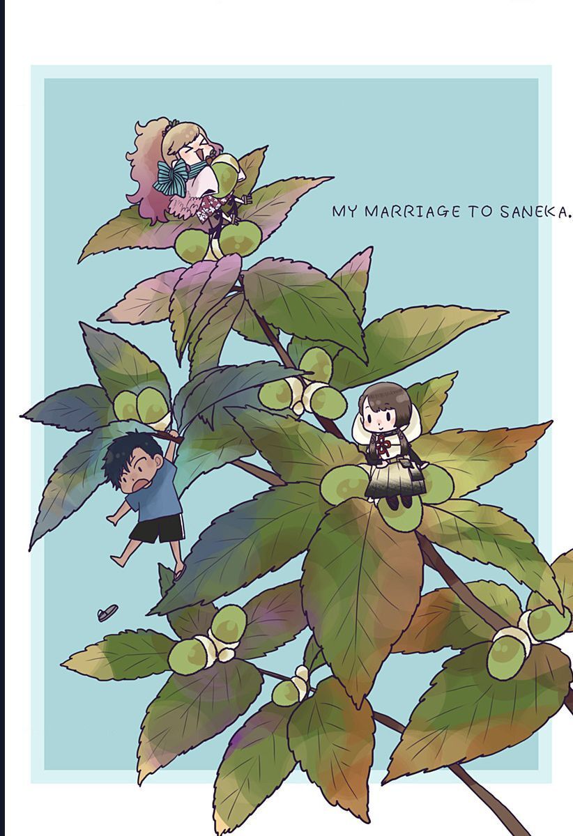 Saneka No Yomeiri Chapter 14.5 - Trang 2