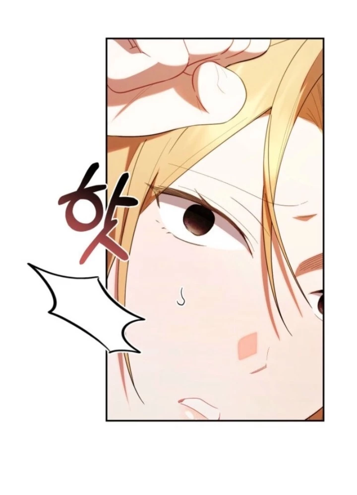 Hunter Của Lớp Gà Con Đang Báo Hiếu! Chapter 39 - Trang 2