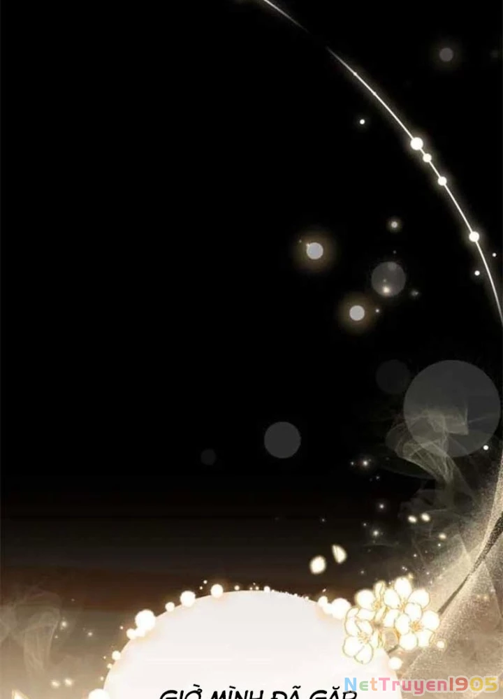 Hunter Của Lớp Gà Con Đang Báo Hiếu! Chapter 44 - Trang 2