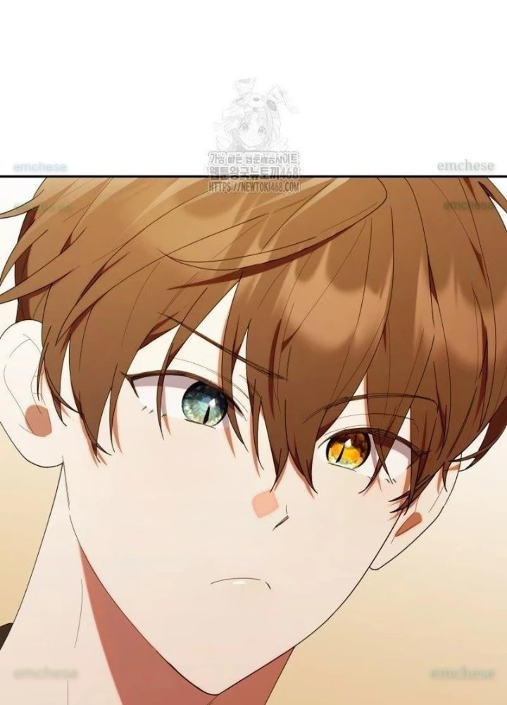 Hunter Của Lớp Gà Con Đang Báo Hiếu! Chapter 48 - Trang 2