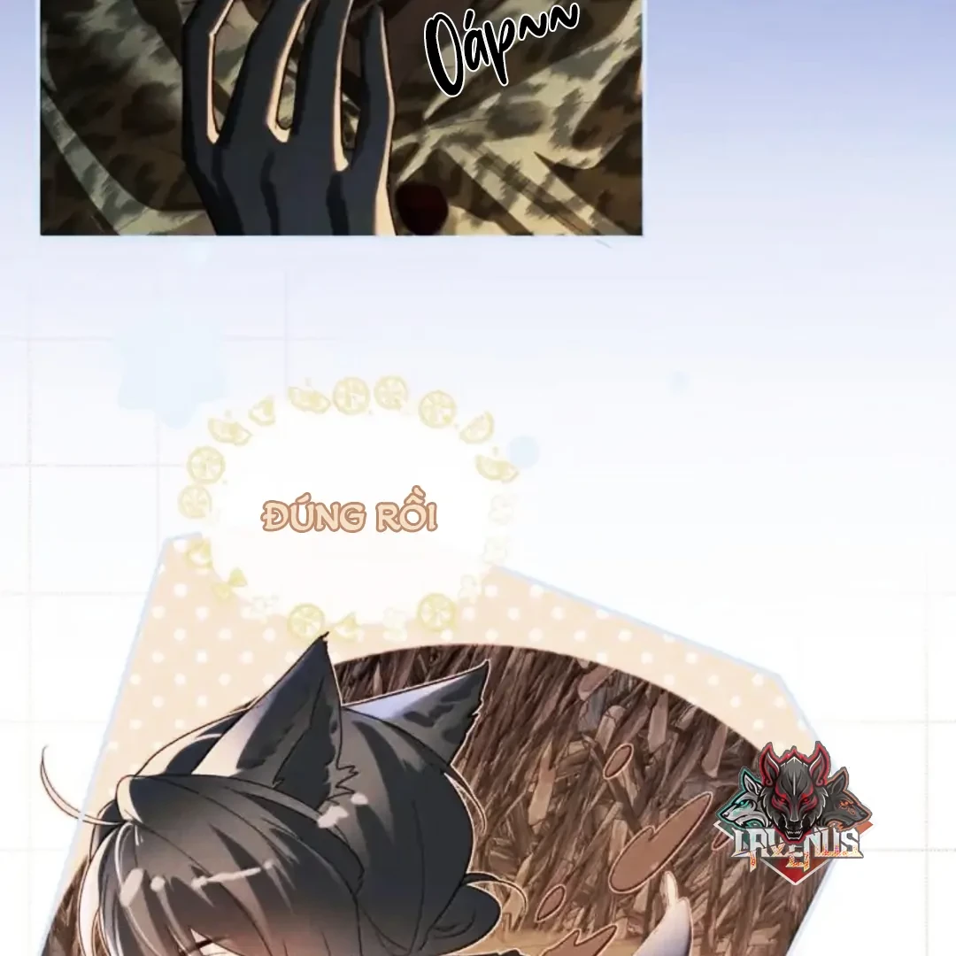 Thiết Lập Yêu Cầu Em Yêu Tôi Chapter 25 - Trang 2