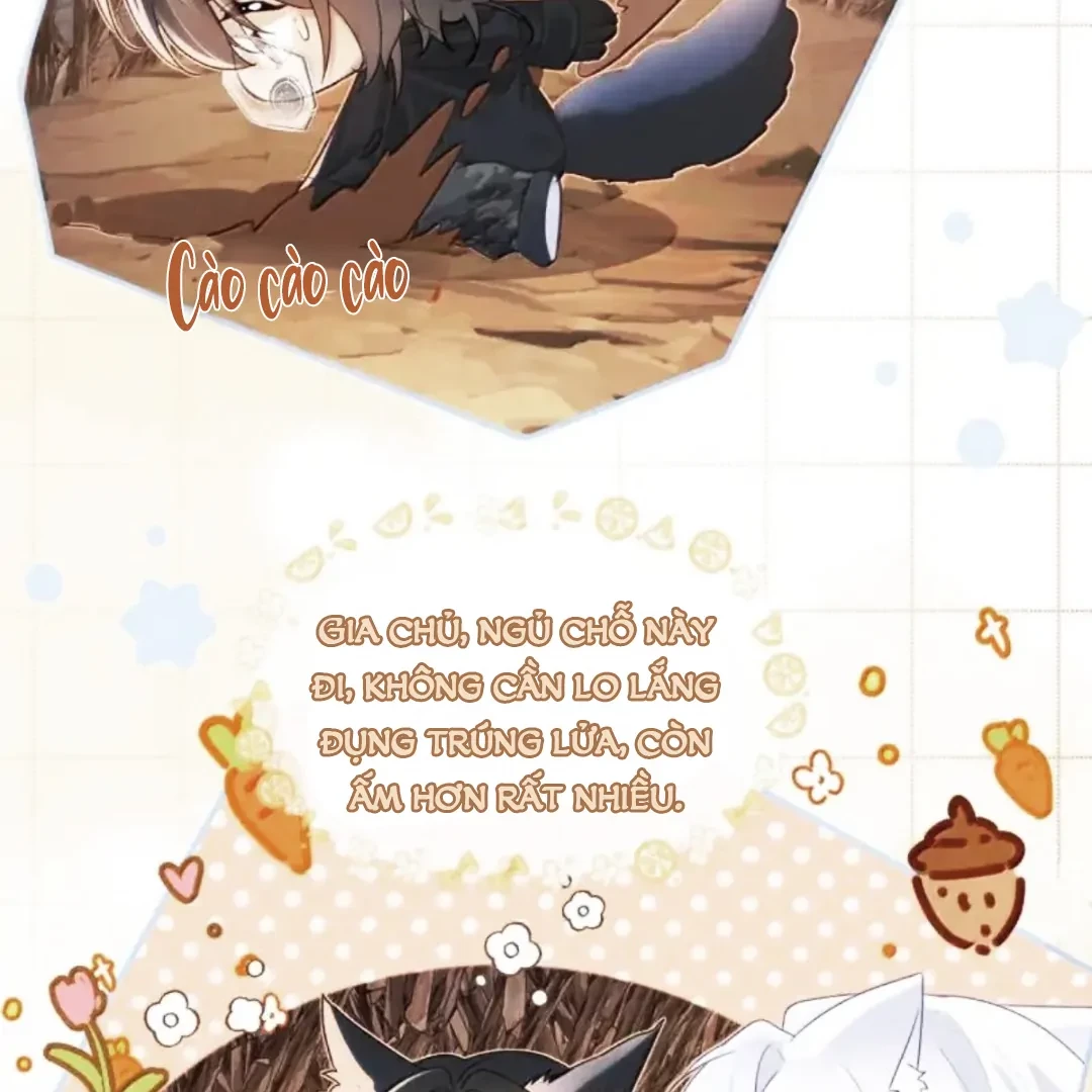 Thiết Lập Yêu Cầu Em Yêu Tôi Chapter 25 - Trang 2