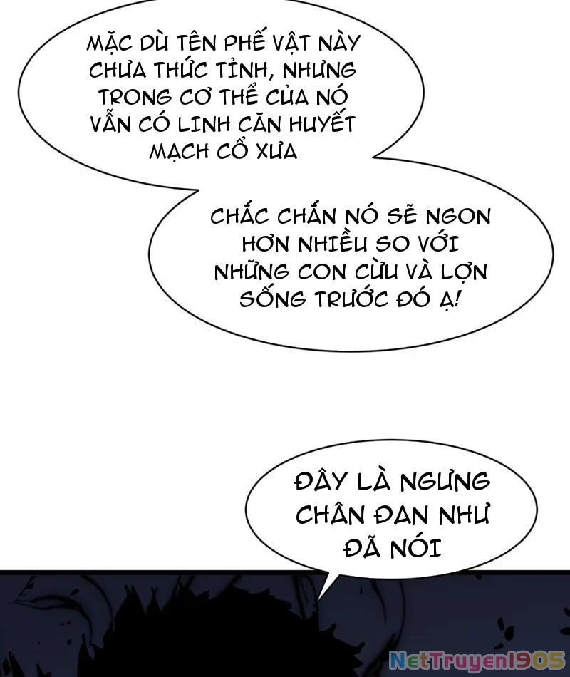 Dị Chi Long Vương Kháng Tất Cả Chapter 1 - Trang 2