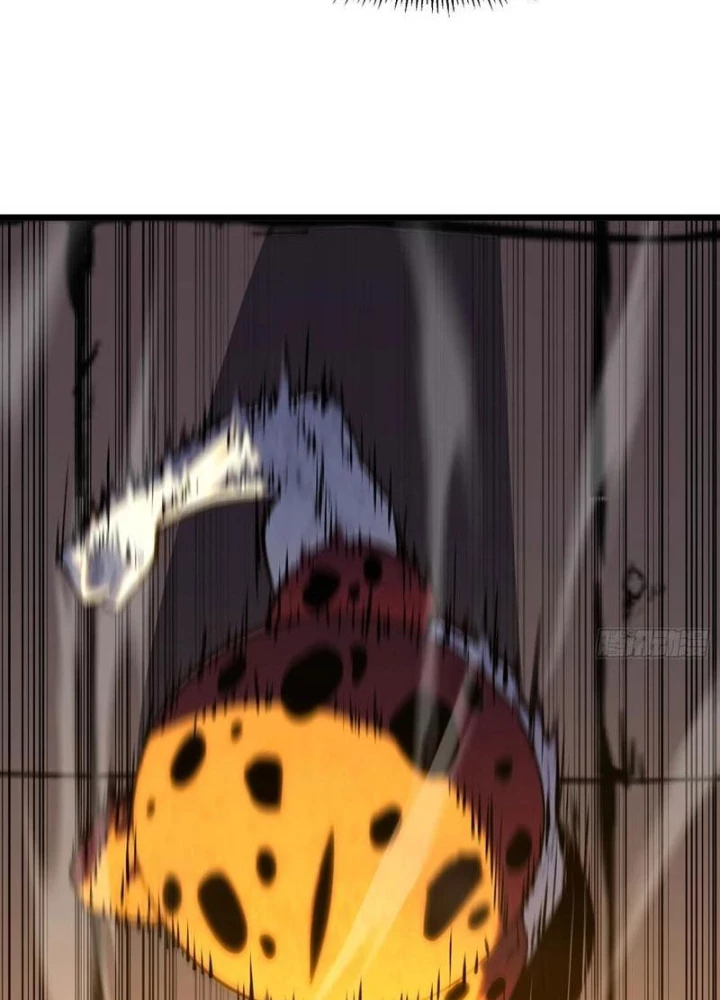 Dị Chi Long Vương Kháng Tất Cả Chapter 15 - Trang 2