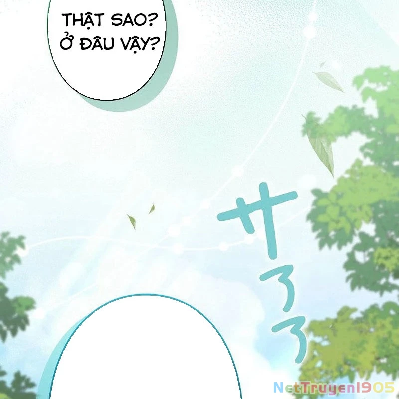 Sự Tái Sinh Của Nhà Thiết Kế Tài Ba Chapter 4 - Trang 2