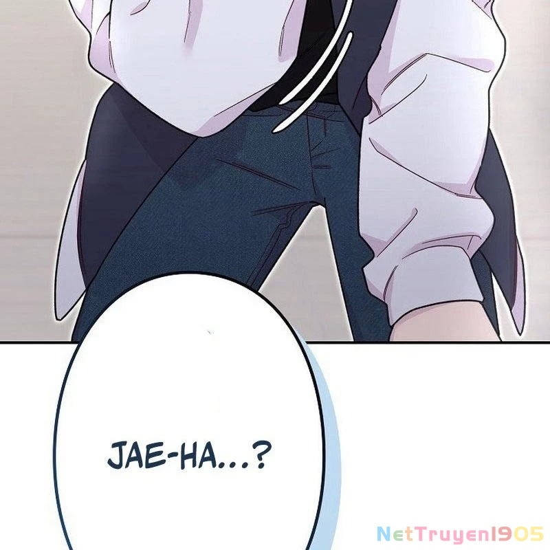Sự Tái Sinh Của Nhà Thiết Kế Tài Ba Chapter 8 - Trang 2