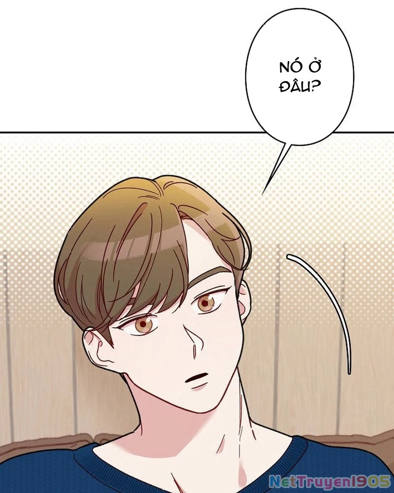 Sự Tái Sinh Của Nhà Thiết Kế Tài Ba Chapter 10 - Trang 2